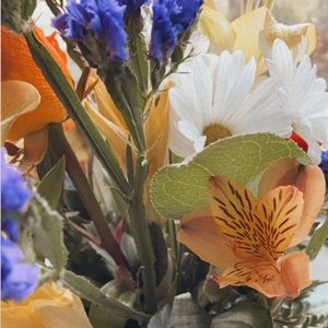 Meet your Posher, Jaime